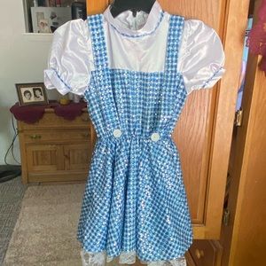 Girl’s Dorothy Costume (8-10)